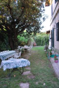 a group of tables and chairs under a tree at Villa Carola in San Giuliano Terme
