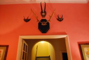 Φωτογραφία από το άλμπουμ του Villa Carola σε San Giuliano Terme