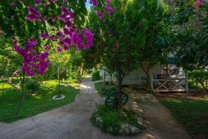 a garden with a tree with purple flowers at S3 Seahorse Beach Club in Oludeniz
