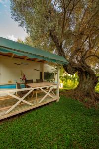 a pavilion with a table under a tree at S3 Seahorse Beach Club in Oludeniz