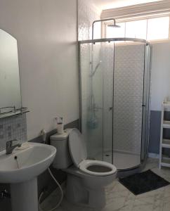 a bathroom with a shower and a toilet and a sink at A beautiful and Spacious Rumah Manado 2 Bedrooms with Bathrooms Villa Marion Tomohon in Tomohon