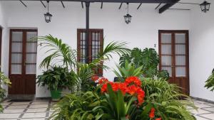 阿尔莫多瓦尔德尔里奥Fuentepiedra Casa Rural Categoría Superior的一座花园,在一座建筑前种有鲜花和植物