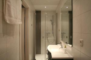 a bathroom with a shower and a sink and a shower at Haus Elisabeth in Bad Salzungen +34 photos