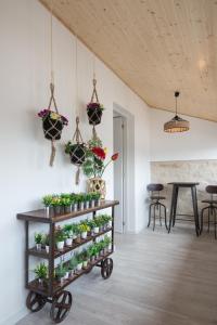 Fotografie z fotogalerie ubytování Porto Deluxe Suites v Portu