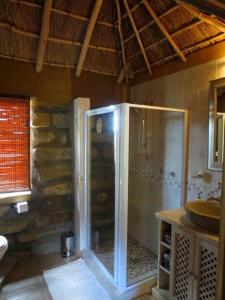 a bathroom with a shower and a sink at Mont Plaisir Guest Farm in Fouriesburg