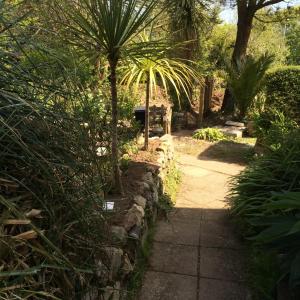 a garden with a palm tree and a stone path at The garden apartment in St Ives