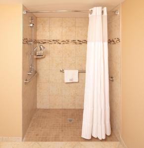 Red Lion Hotel Orlando Lake Buena Vista South- Near Disney的一间浴室