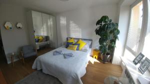 a bedroom with a bed with blue and yellow pillows at Apartament Centrum in Augustów