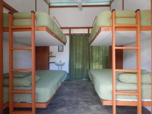 two bunk beds in a room with a window at Karandi Hostel in Uvita