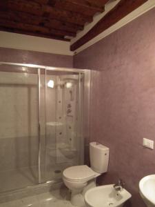 a bathroom with a shower and a toilet and a sink at Casa Toscana in Lucca