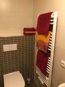 a bathroom with a towel rack next to a toilet at Bleierhof Apartment in Kartitsch