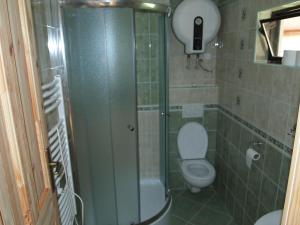 a bathroom with a toilet and a glass shower at Penzion U Haničky in Rožmberk nad Vltavou
