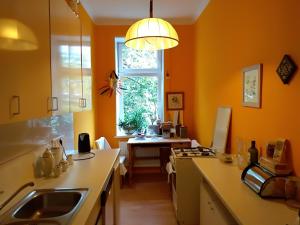 Wohnung in Wienにあるキッチンまたは簡易キッチン
