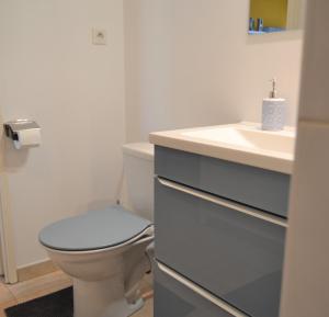 a bathroom with a toilet and a sink at La Merveille de VERMEIL - Parking - Climatisation - Terrasse in Albi +38 photos