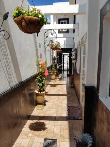 um beco com vasos de plantas ao lado de um edifício em Hotel Tres Sofias em Querétaro