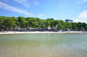 Príroda v okolí apartmánu