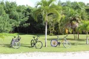 two bikes parked next to each other on a lush green field at Puerta del Mar Cozumel in Banco Playa