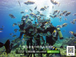 un buzo en el océano con una escuela de peces en Toong Hsiang Hotel, en Isla Verde