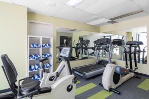 Fitness centrum a/nebo fitness zařízení v ubytování Nesuto Parramatta