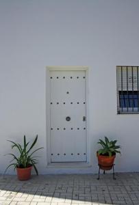 Fotografia z galérie ubytovania Apartamentos Angelita Plaza Beach v destinácii Málaga