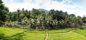 Gallery image of Gurubeula Leisure As You Wish in Deniyaya