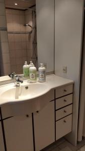a bathroom with a sink and a mirror at Aalborg City Rooms ApS in Aalborg