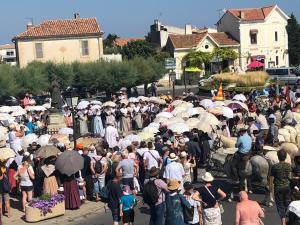 una grande folla di persone con ombrelli in una strada di Hôtel restaurant le delta a Saintes-Maries-de-la-Mer