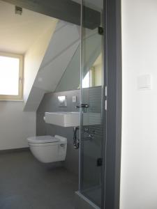 バート・シュミーデベルクにあるApartmenthotel "Gärtnerhaus Schloss Reinharz"のバスルーム(トイレ、ガラス張りのシャワー付)