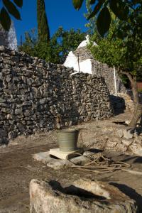 Fotografie z fotogalerie ubytování Villa Anna v destinaci Selva di Fasano