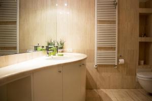 bagno con lavandino e servizi igienici di Leoncino Apartment 2 a Verona