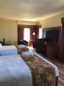 Postel nebo postele na pokoji v ubytování Hotel L'Oie des neiges