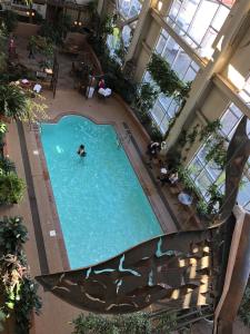 Bazén v ubytování Hotel L'Oie des neiges nebo v jeho okolí