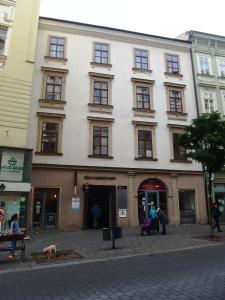 een groot wit gebouw met een hond ervoor bij Rooms Orlí in Brno