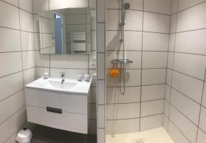un bagno con doccia, lavandino e specchio di Relais de la truffière a Villaines-en-Duesmois Altre 14 foto