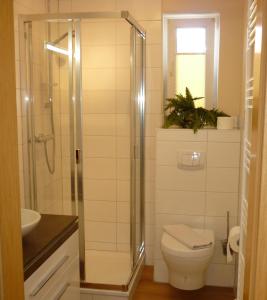 a bathroom with a toilet and a glass shower at Ferienhaus Kozian in Kühlungsborn +33 photos