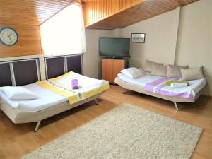 Cette chambre comprend 2 lits et une télévision. dans l'établissement Comfy roof with terrace - 4 TH FLOOR WITHOUT LIFT-1 Air Conditioner, à Denizli