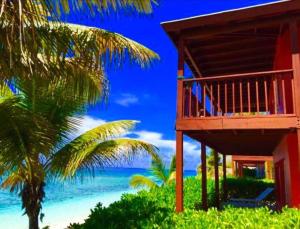 a house on the beach with a palm tree at The Sands Hotel in Cockburn Town