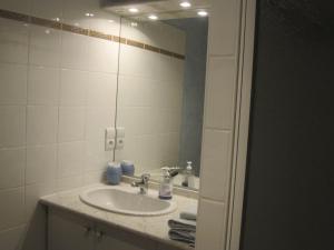 een badkamer met een wastafel en een spiegel bij Bellegarde in Saint-Gauzens