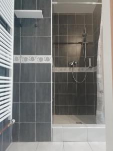 Koupelna v ubytování Hostel Eva