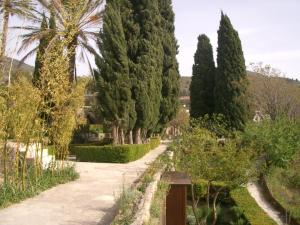 ベレス・デ・ベナウダリャにあるApartments Altos del Castilloの木々の茂る庭を通る小道