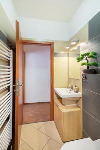 Vonios kambarys apgyvendinimo įstaigoje Paradise Apartment