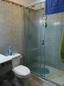 サン・イシドロにあるLa Estrella De San Isidroのバスルーム(トイレ、ガラス張りのシャワー付)