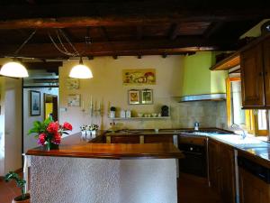 A kitchen or kitchenette at Casa Conny
