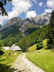 a dirt road with mountains in the background at Beti Blu, Kaninska vas in Bovec +10 photos