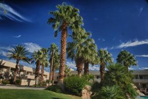 Zahrada ubytování Miracle Springs Resort and Spa