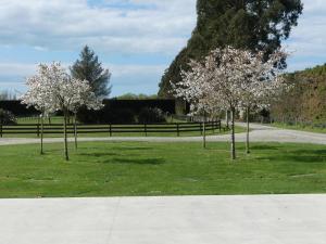 Bramley's Stables and Accommodation外面的花园
