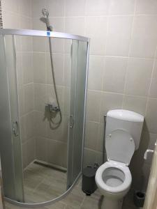 a bathroom with a shower with a toilet at Apartmani Maja Zrenjanin in Zrenjanin