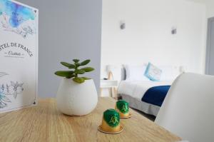 Una mesa con un jarrón con una planta. en Hôtel de France, en Saint-Savin