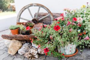 Zahrada ubytování Ferienparadies Wiesenbauer