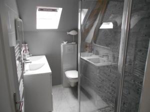 シュリー・シュル・ロワールにあるF3 2CHBS TOUT EQUIPE SULLY CENTREのバスルーム(シャワー、トイレ、シンク付)